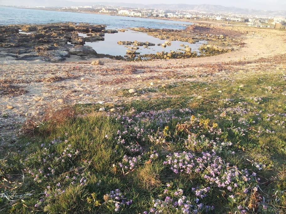 A Stone'S Throw From Everything Paphos Extérieur photo